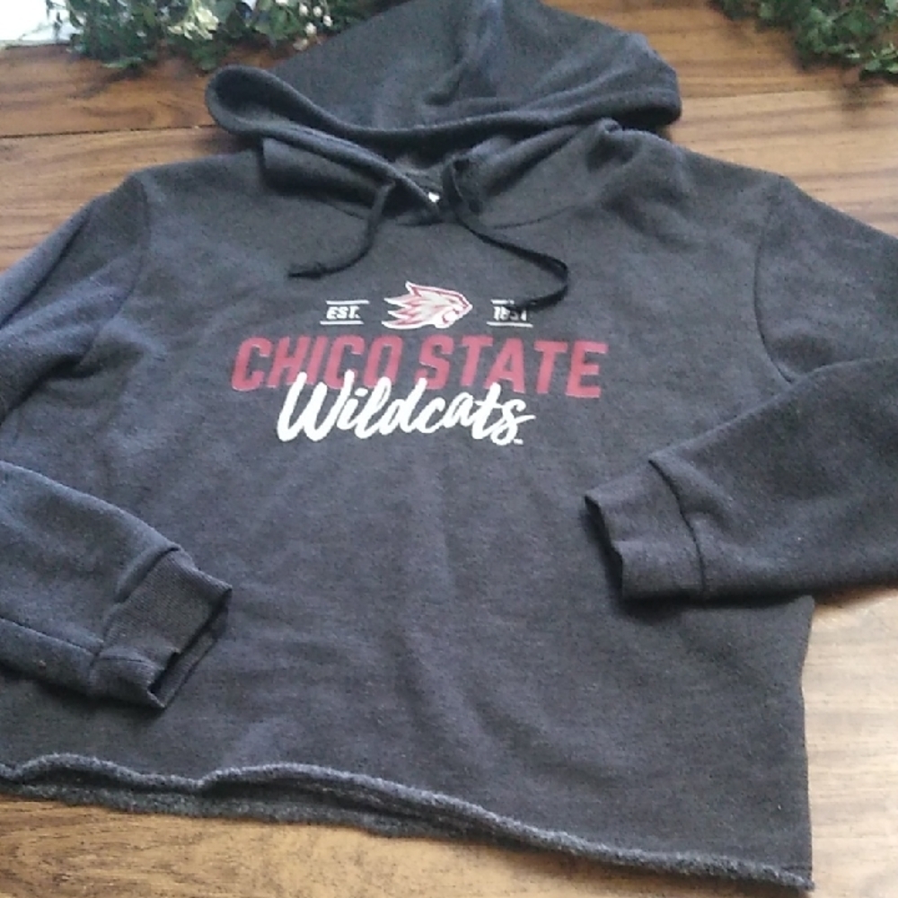 Chico State Cropped Wildcats Gray Hoodie Size XL